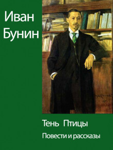 Тень птицы