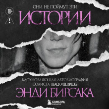 Они не поймут эти истории: Вдохновляющая автобиография солиста Black Veil Brides Энди Бирсака